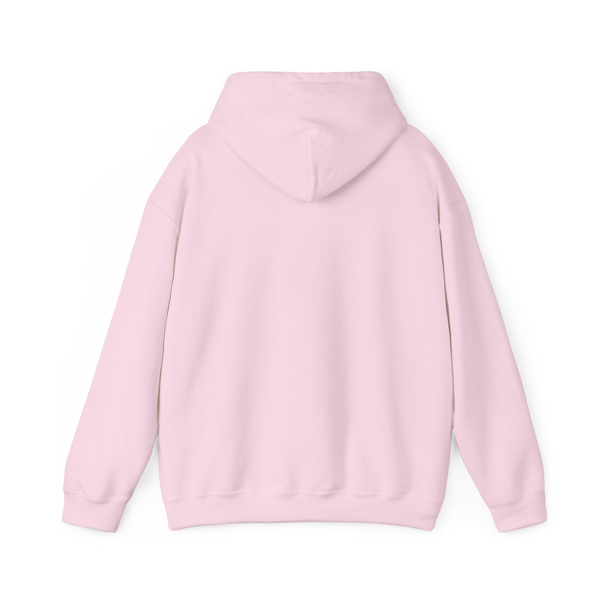 SASS Hooded Sweatshirt