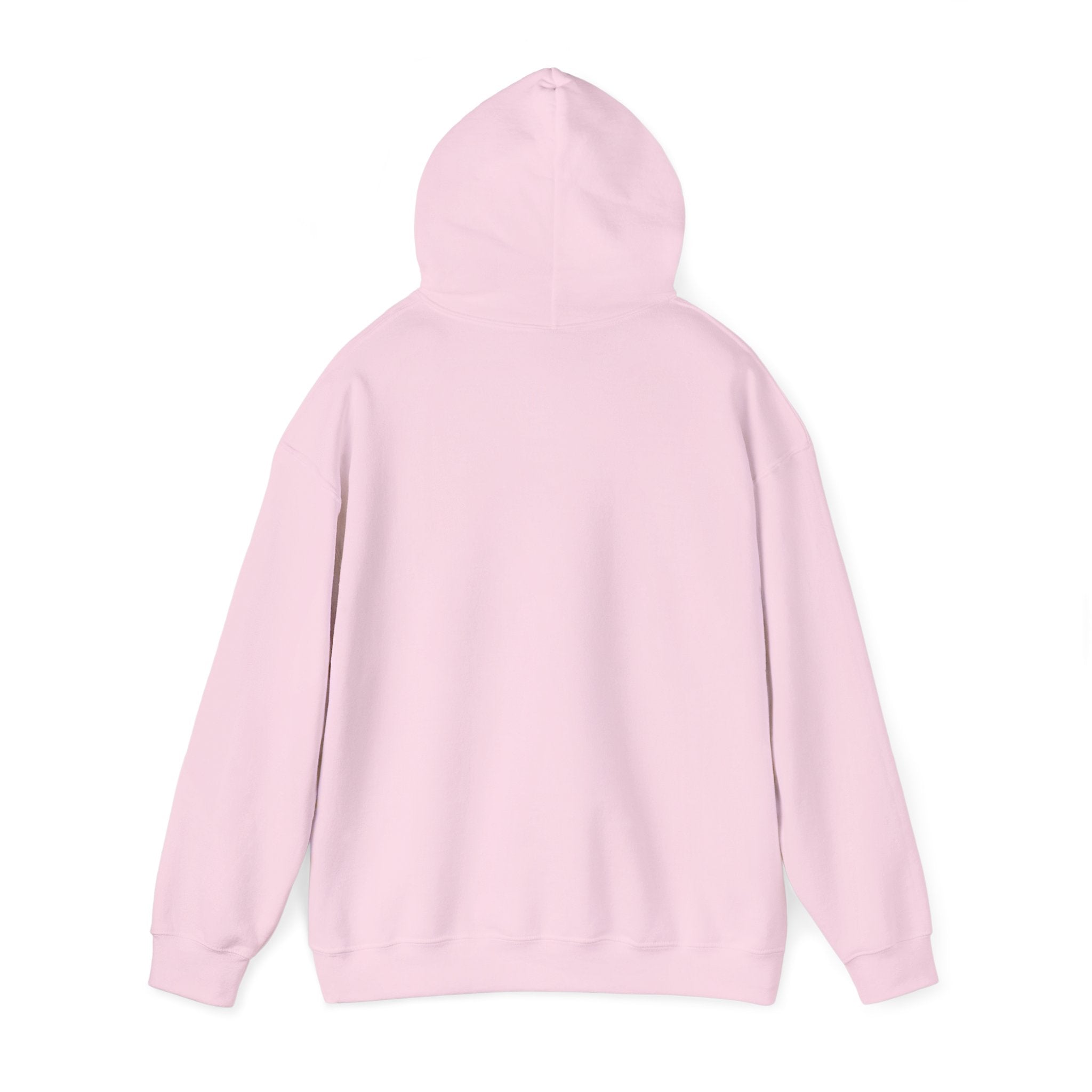 SASS Hooded Sweatshirt